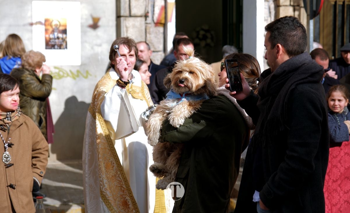 Tomelloso mantiene viva la tradición de San Antón con la bendición de animales y gran participación vecinal