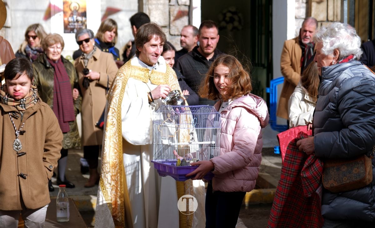 Tomelloso mantiene viva la tradición de San Antón con la bendición de animales y gran participación vecinal