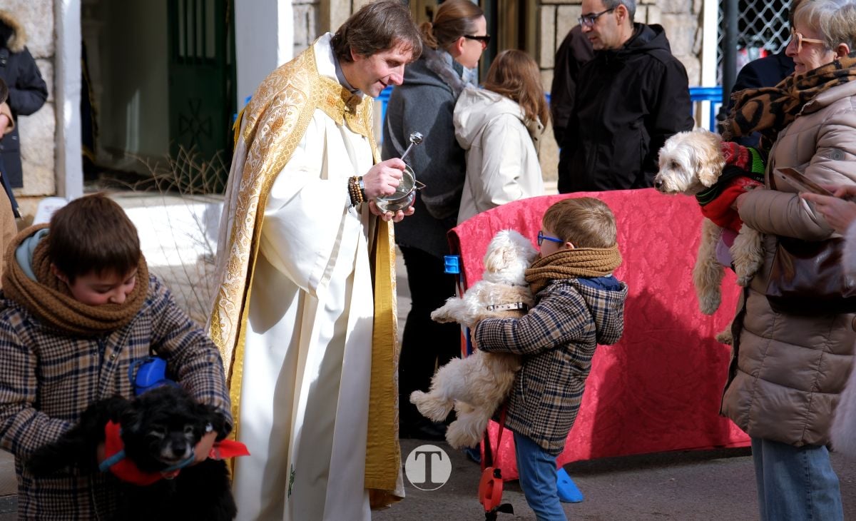 Tomelloso mantiene viva la tradición de San Antón con la bendición de animales y gran participación vecinal
