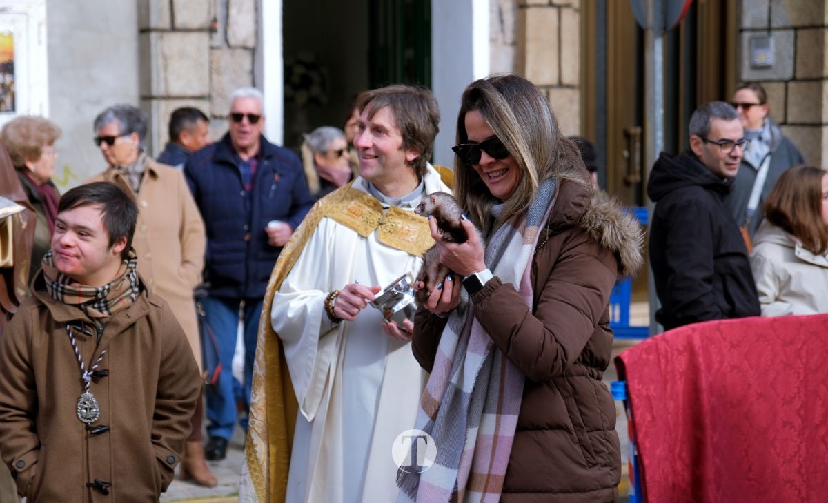 Tomelloso mantiene viva la tradición de San Antón con la bendición de animales y gran participación vecinal