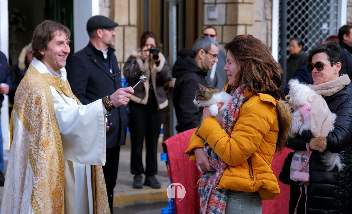 Tomelloso mantiene viva la tradición de San Antón con la bendición de animales y gran participación vecinal