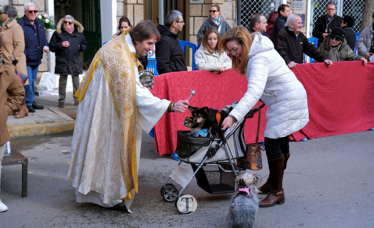 Tomelloso mantiene viva la tradición de San Antón con la bendición de animales y gran participación vecinal