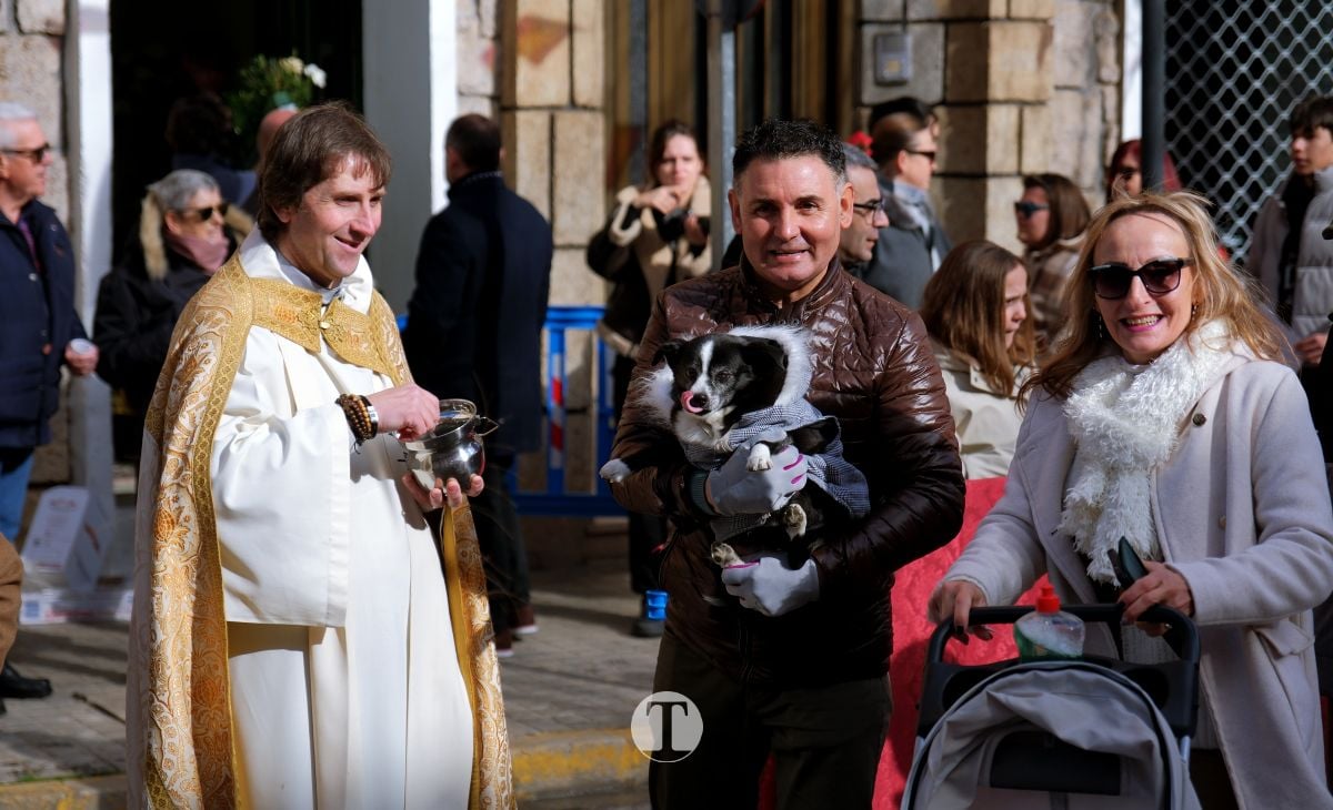 Tomelloso mantiene viva la tradición de San Antón con la bendición de animales y gran participación vecinal