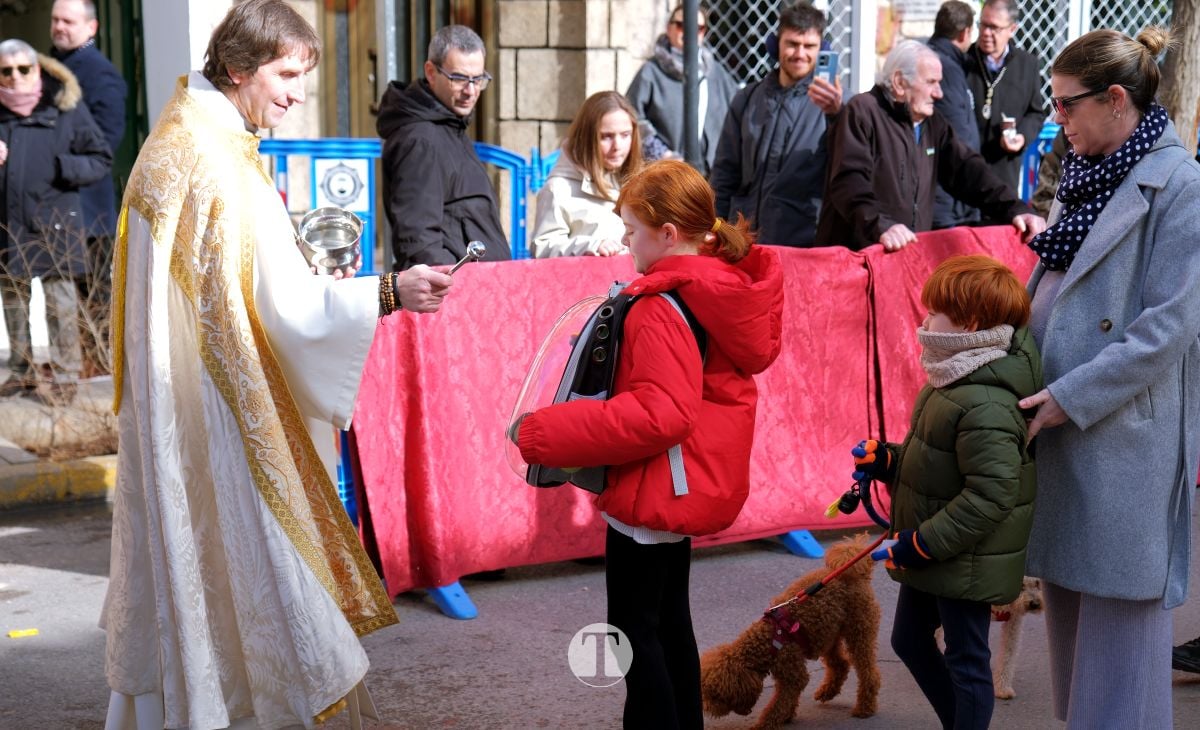 Tomelloso mantiene viva la tradición de San Antón con la bendición de animales y gran participación vecinal