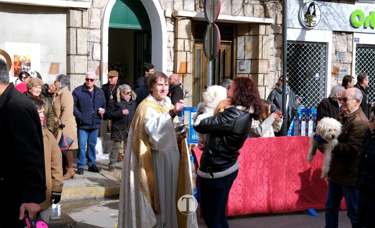 Tomelloso mantiene viva la tradición de San Antón con la bendición de animales y gran participación vecinal