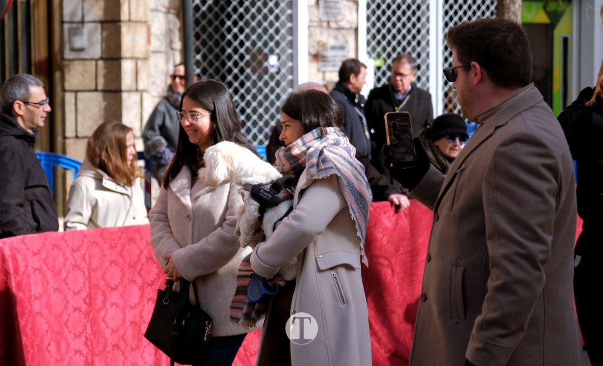 Tomelloso mantiene viva la tradición de San Antón con la bendición de animales y gran participación vecinal