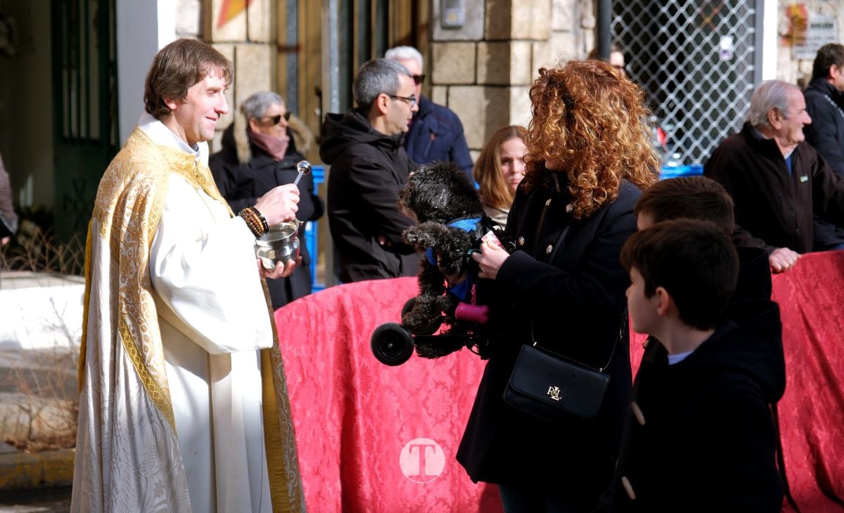 Tomelloso mantiene viva la tradición de San Antón con la bendición de animales y gran participación vecinal