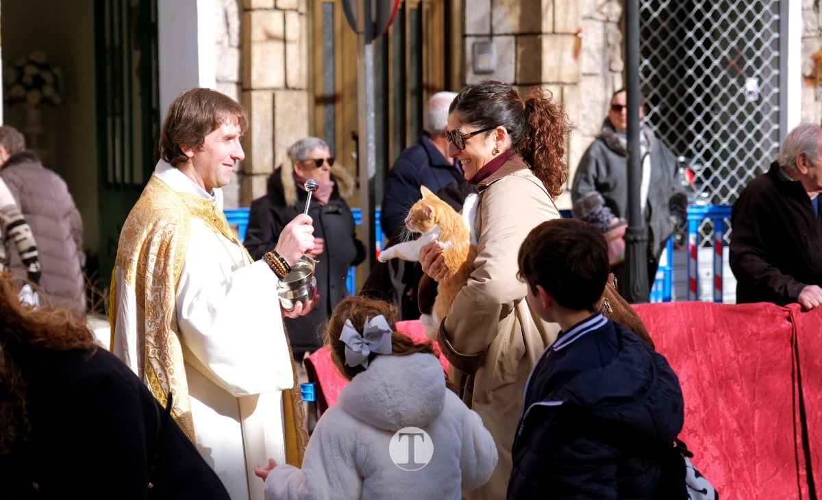 Tomelloso mantiene viva la tradición de San Antón con la bendición de animales y gran participación vecinal
