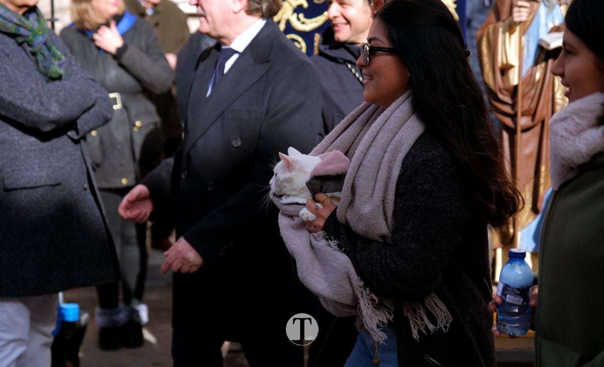 Tomelloso mantiene viva la tradición de San Antón con la bendición de animales y gran participación vecinal