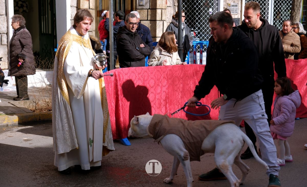 Tomelloso mantiene viva la tradición de San Antón con la bendición de animales y gran participación vecinal