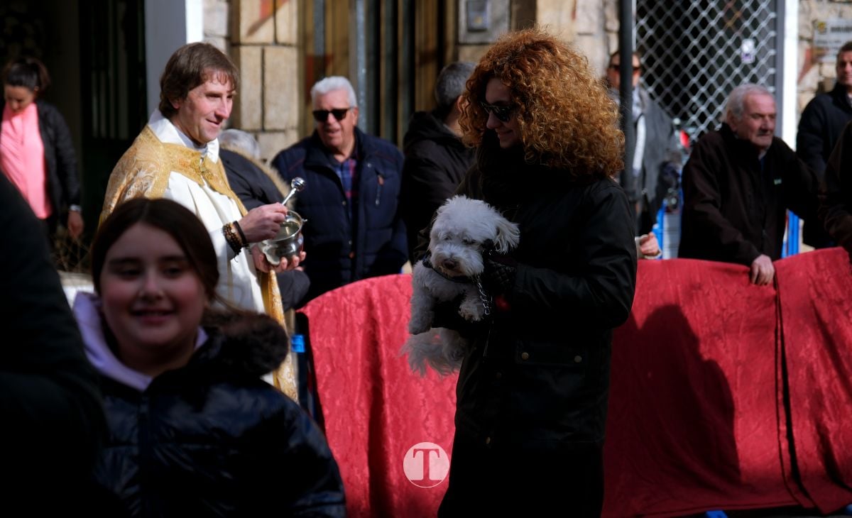 Tomelloso mantiene viva la tradición de San Antón con la bendición de animales y gran participación vecinal
