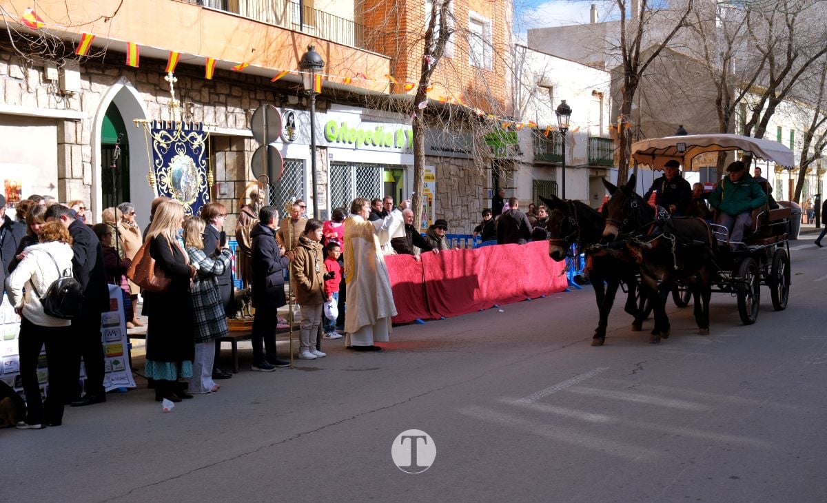 Tomelloso mantiene viva la tradición de San Antón con la bendición de animales y gran participación vecinal