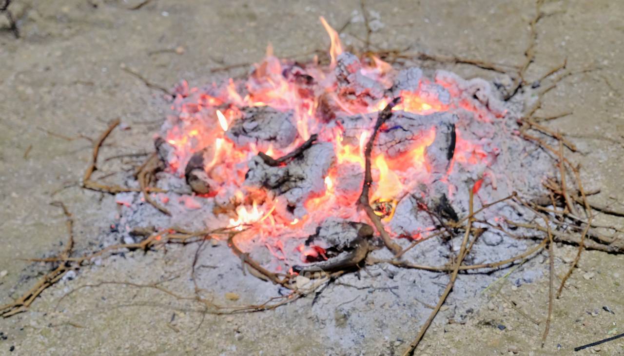 Tomelloso enciende su noche de San Antón al calor de las hogueras