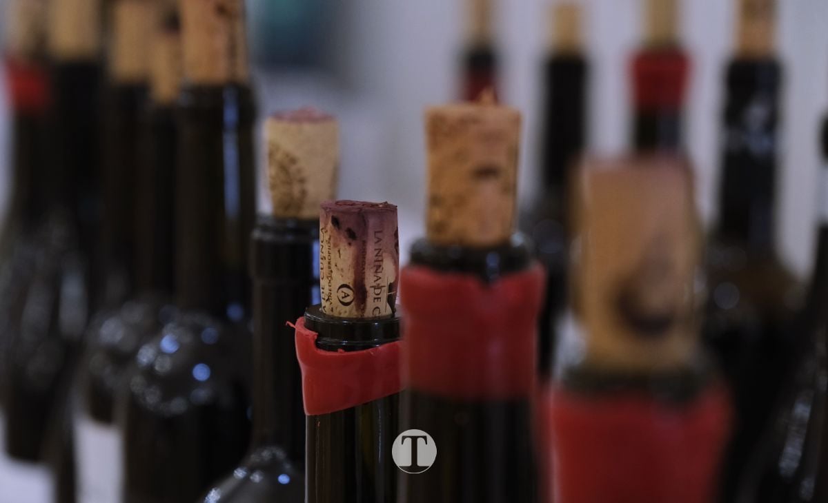 Tomelloso acoge la II Galería “100 Vinos Imprescindibles” con más de 60 bodegas y una firme apuesta por la calidad