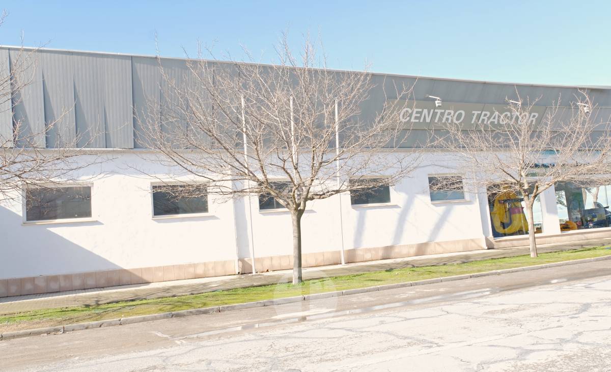 El temporal de viento provoca numerosas incidencias en Tomelloso