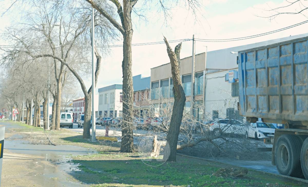 El temporal de viento provoca numerosas incidencias en Tomelloso