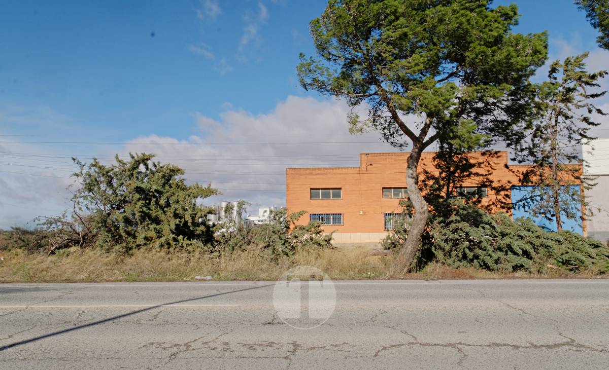 El temporal de viento provoca numerosas incidencias en Tomelloso