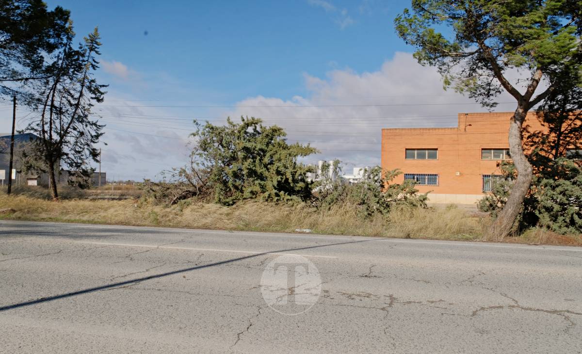 El temporal de viento provoca numerosas incidencias en Tomelloso