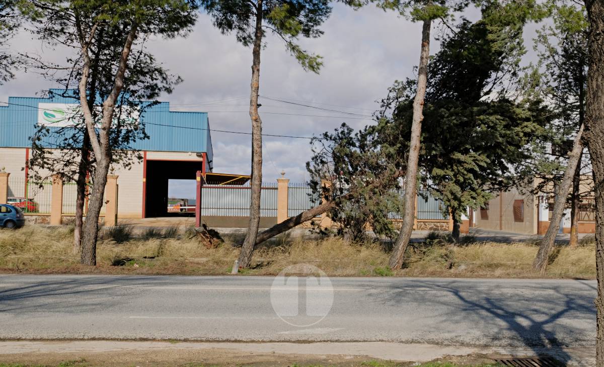 El temporal de viento provoca numerosas incidencias en Tomelloso