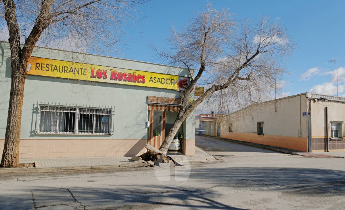 El temporal de viento provoca numerosas incidencias en Tomelloso
