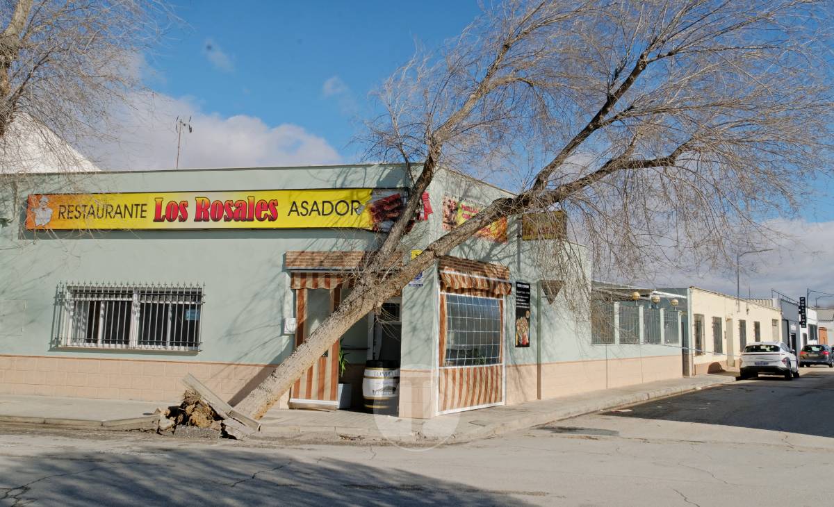 El temporal de viento provoca numerosas incidencias en Tomelloso