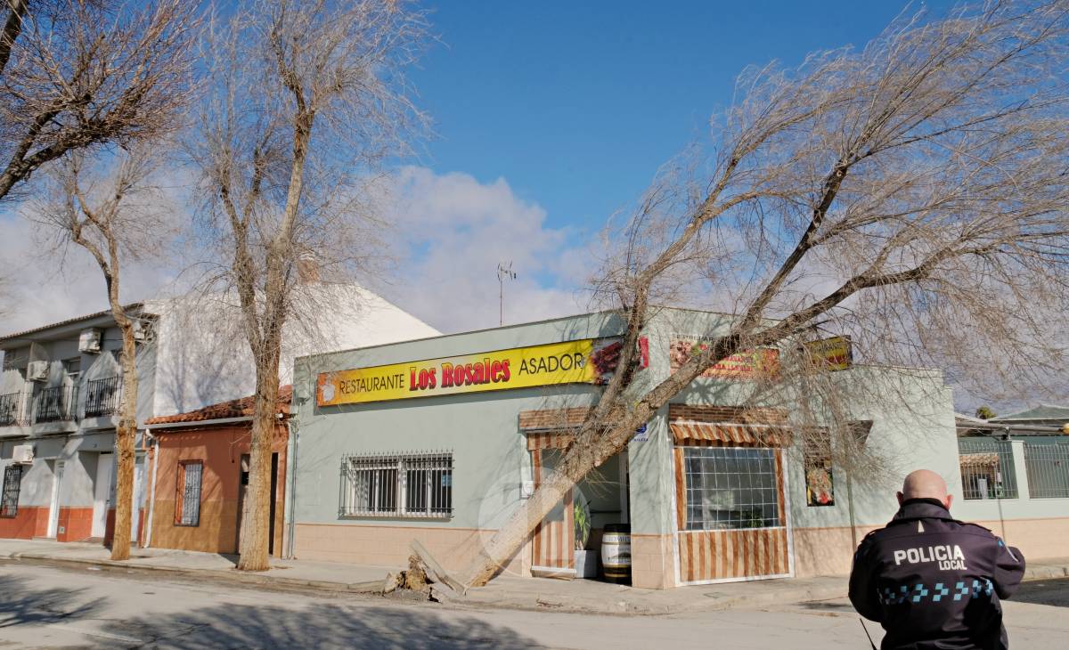 El temporal de viento provoca numerosas incidencias en Tomelloso