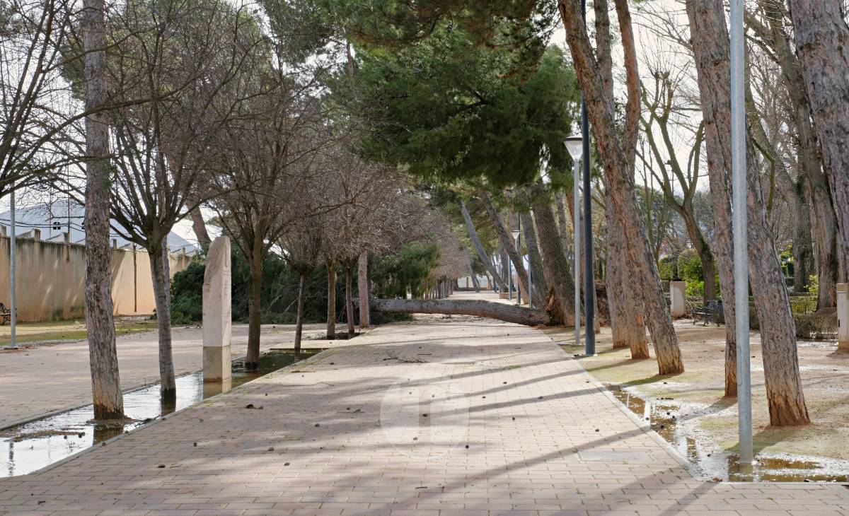 El temporal de viento provoca numerosas incidencias en Tomelloso