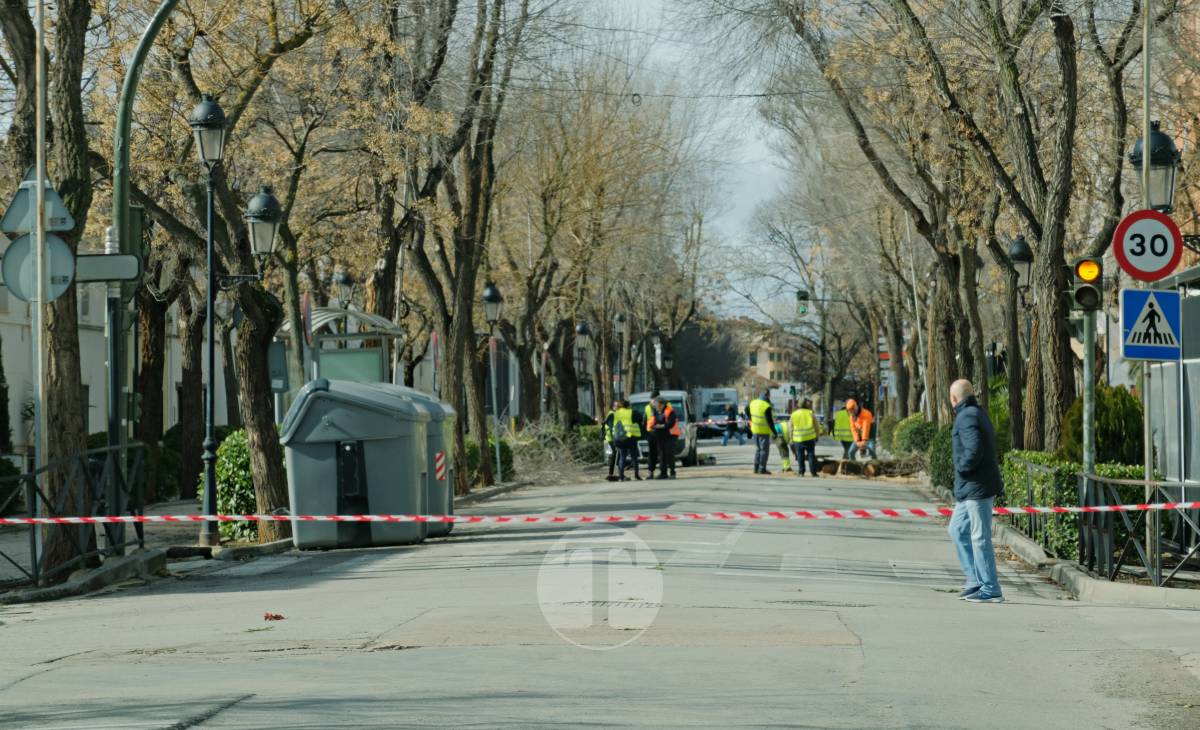 El temporal de viento provoca numerosas incidencias en Tomelloso