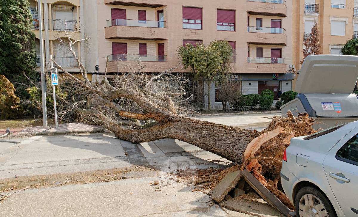 El temporal de viento provoca numerosas incidencias en Tomelloso