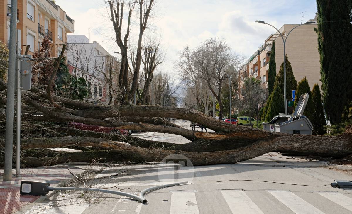 El temporal de viento provoca numerosas incidencias en Tomelloso
