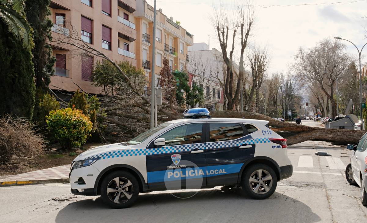 El temporal de viento provoca numerosas incidencias en Tomelloso