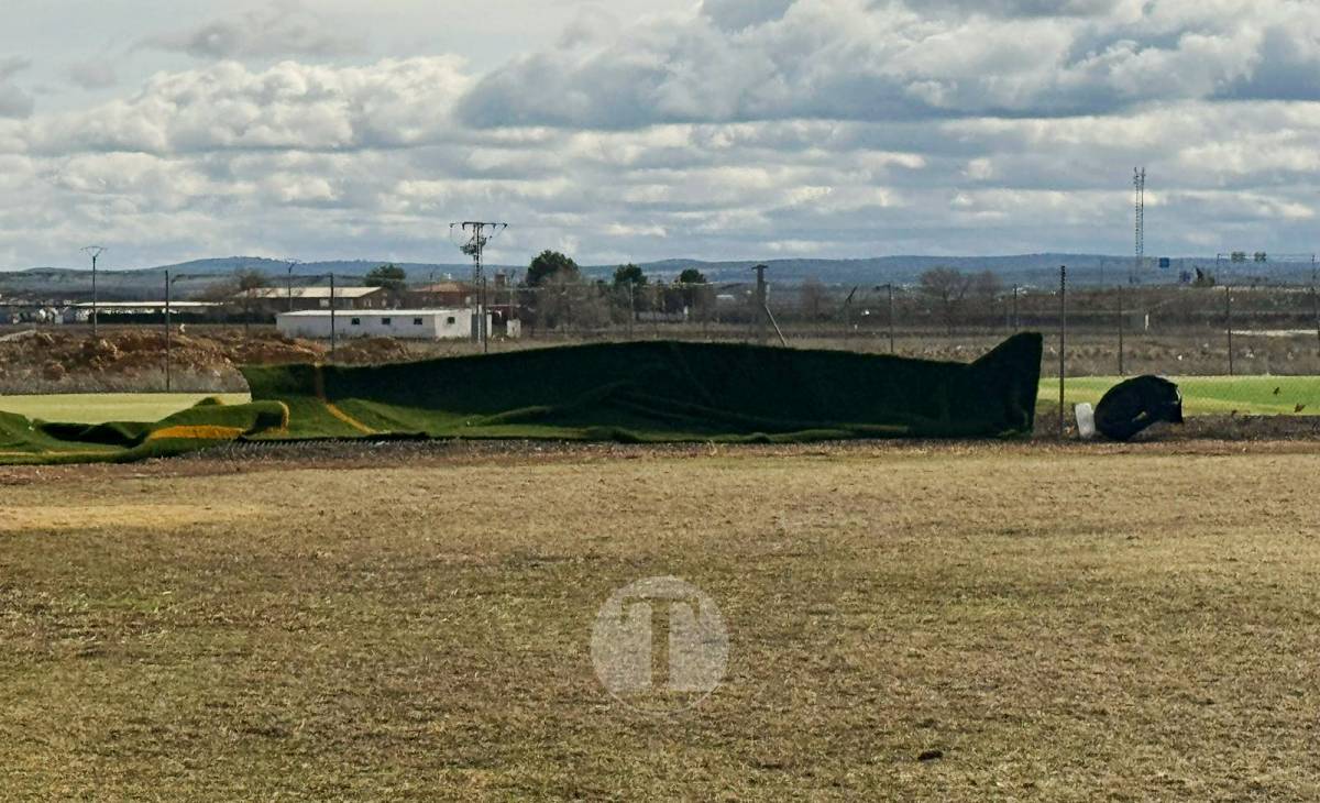 El temporal de viento provoca numerosas incidencias en Tomelloso