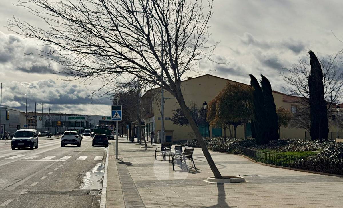El temporal de viento provoca numerosas incidencias en Tomelloso