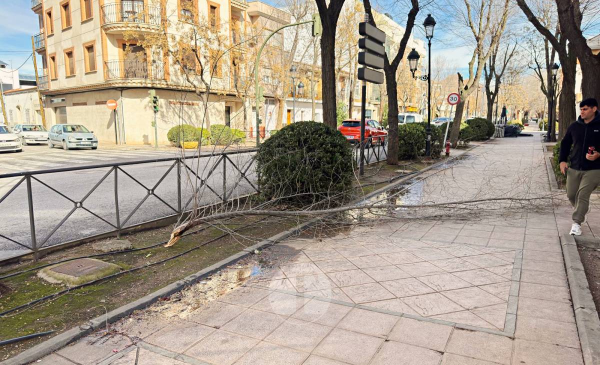 El temporal de viento provoca numerosas incidencias en Tomelloso