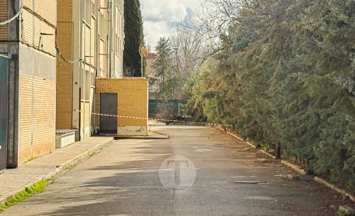 El temporal de viento provoca numerosas incidencias en Tomelloso