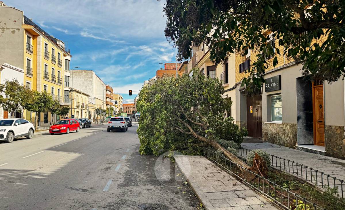 El temporal de viento provoca numerosas incidencias en Tomelloso