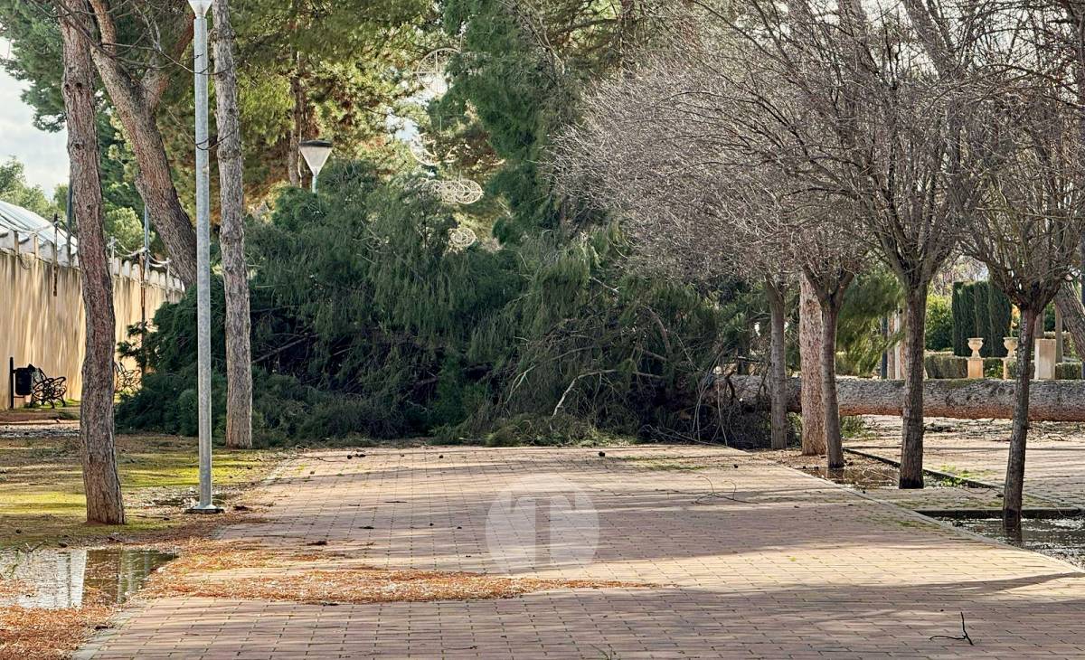 El temporal de viento provoca numerosas incidencias en Tomelloso