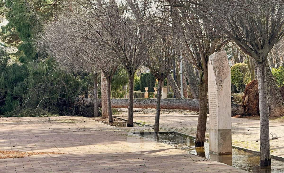 El temporal de viento provoca numerosas incidencias en Tomelloso