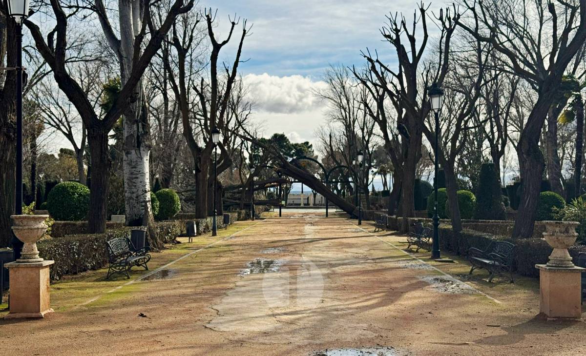 El temporal de viento provoca numerosas incidencias en Tomelloso