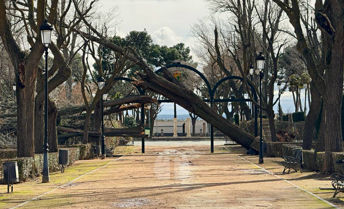 El temporal de viento provoca numerosas incidencias en Tomelloso