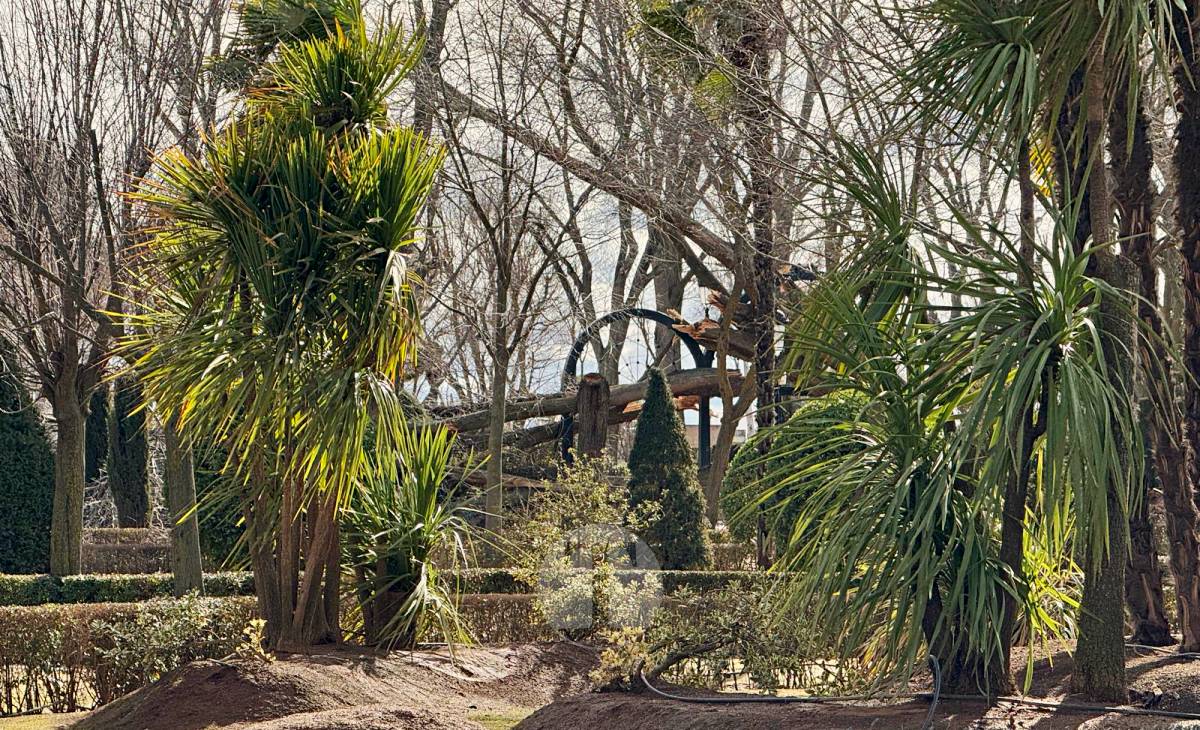 El temporal de viento provoca numerosas incidencias en Tomelloso