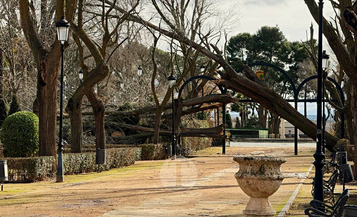 El temporal de viento provoca numerosas incidencias en Tomelloso