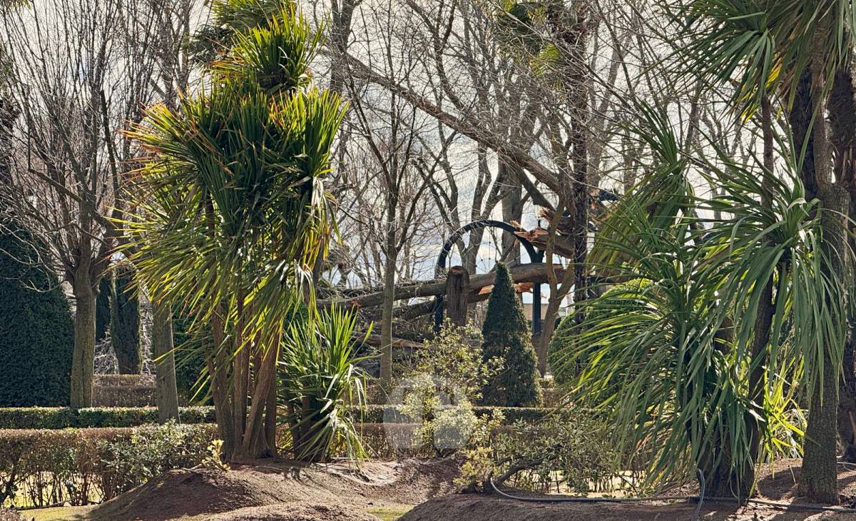 El temporal de viento provoca numerosas incidencias en Tomelloso