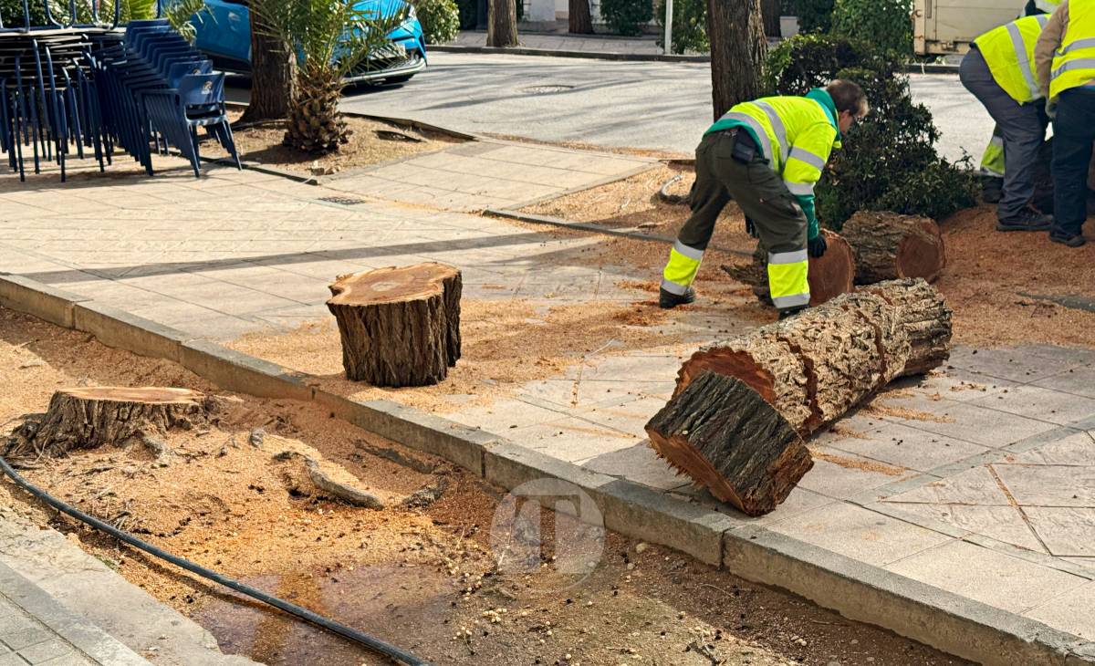 El temporal de viento provoca numerosas incidencias en Tomelloso