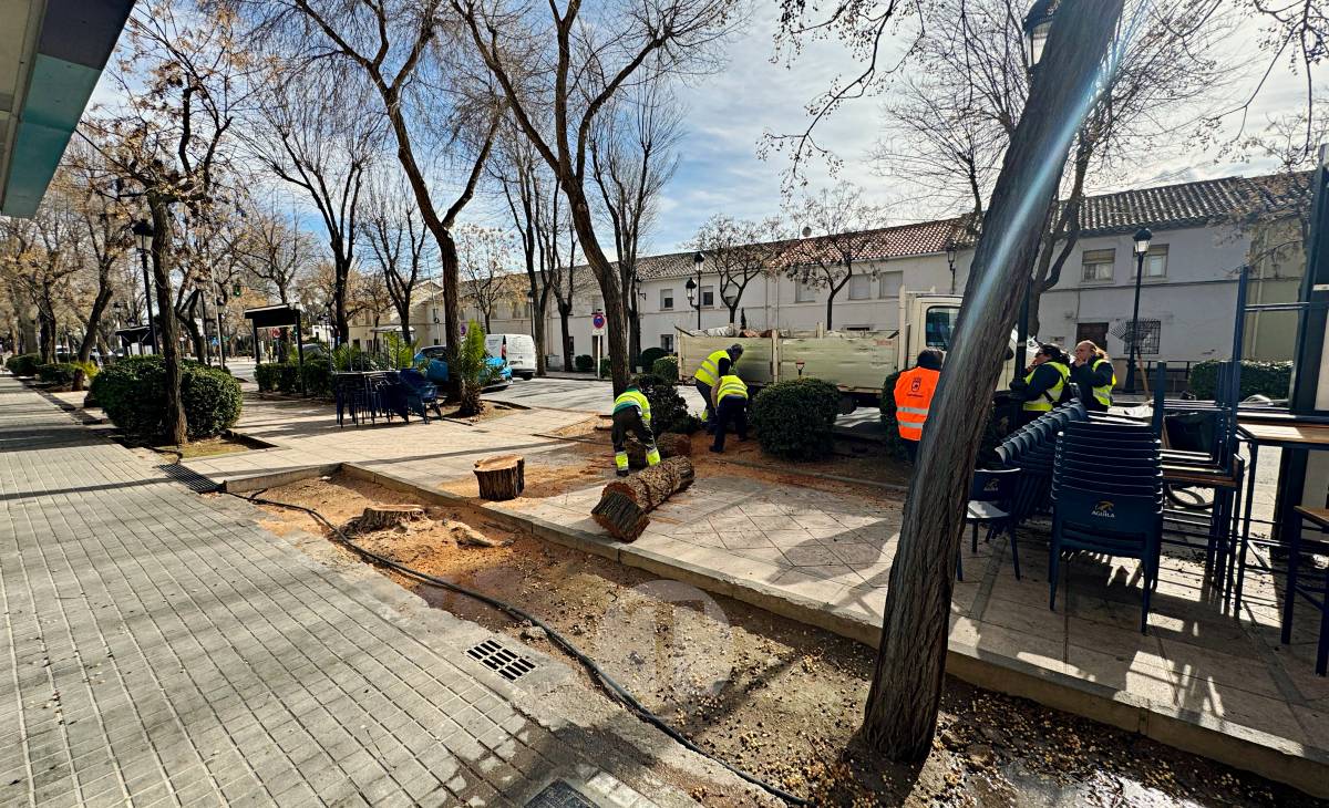 El temporal de viento provoca numerosas incidencias en Tomelloso