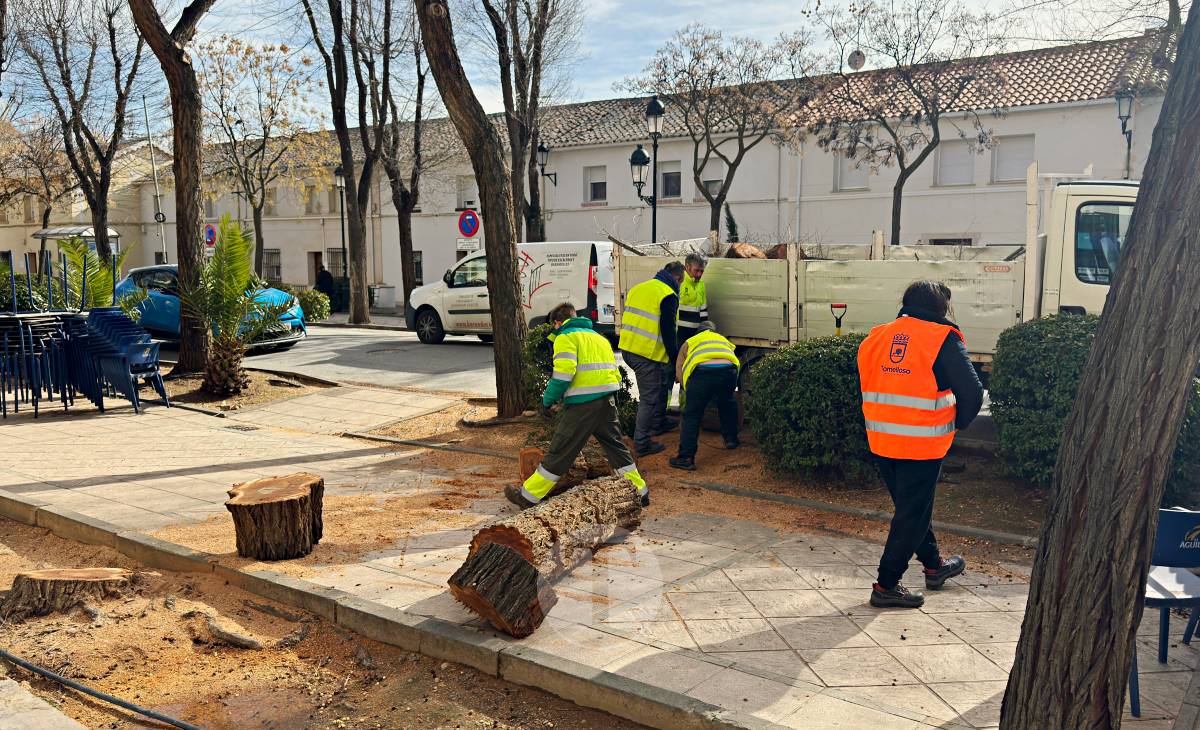 El temporal de viento provoca numerosas incidencias en Tomelloso
