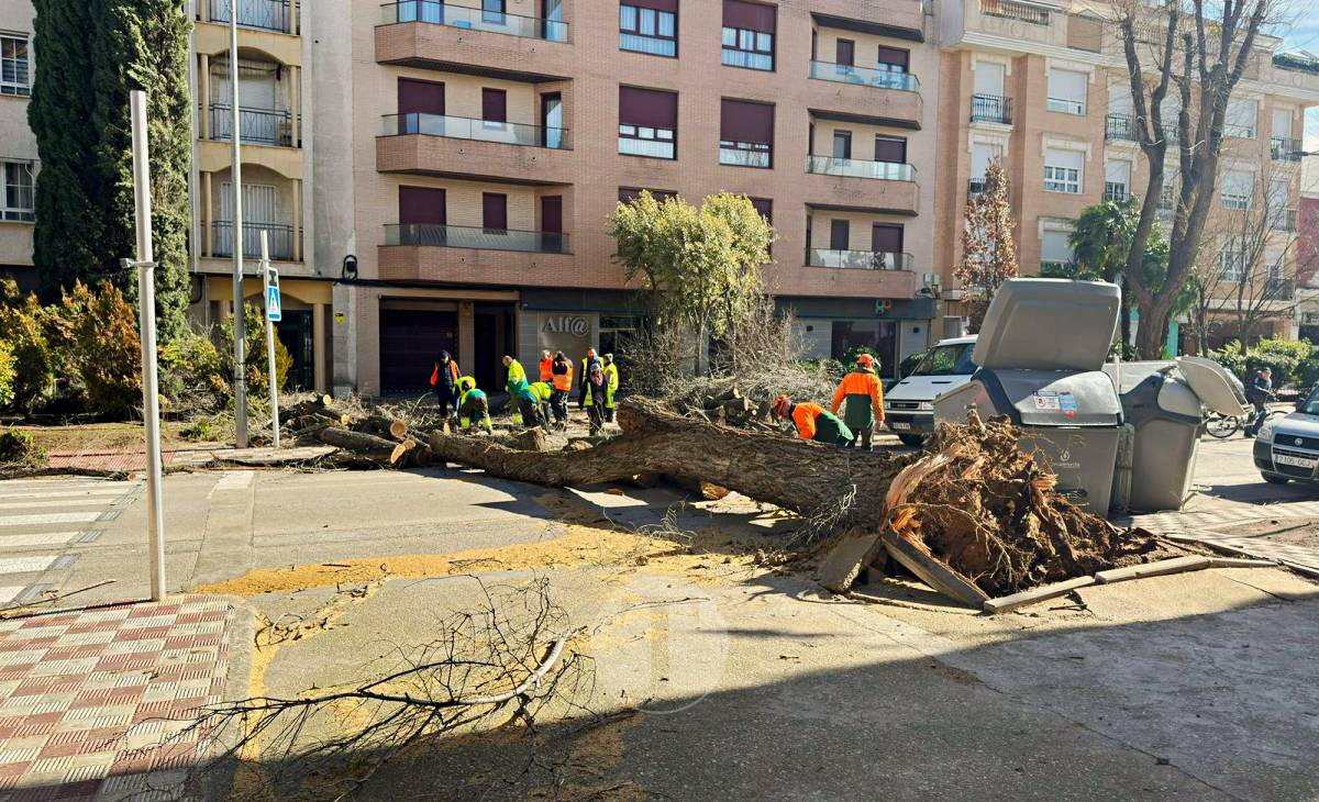 El temporal de viento provoca numerosas incidencias en Tomelloso