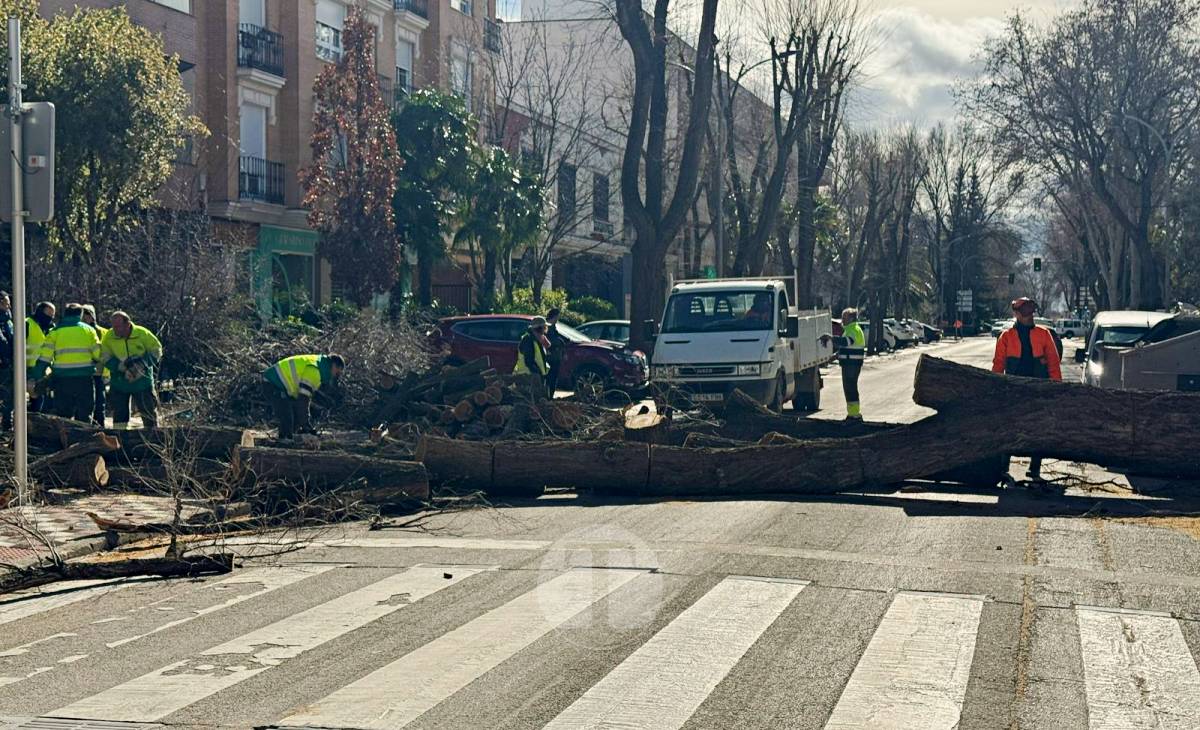 El temporal de viento provoca numerosas incidencias en Tomelloso