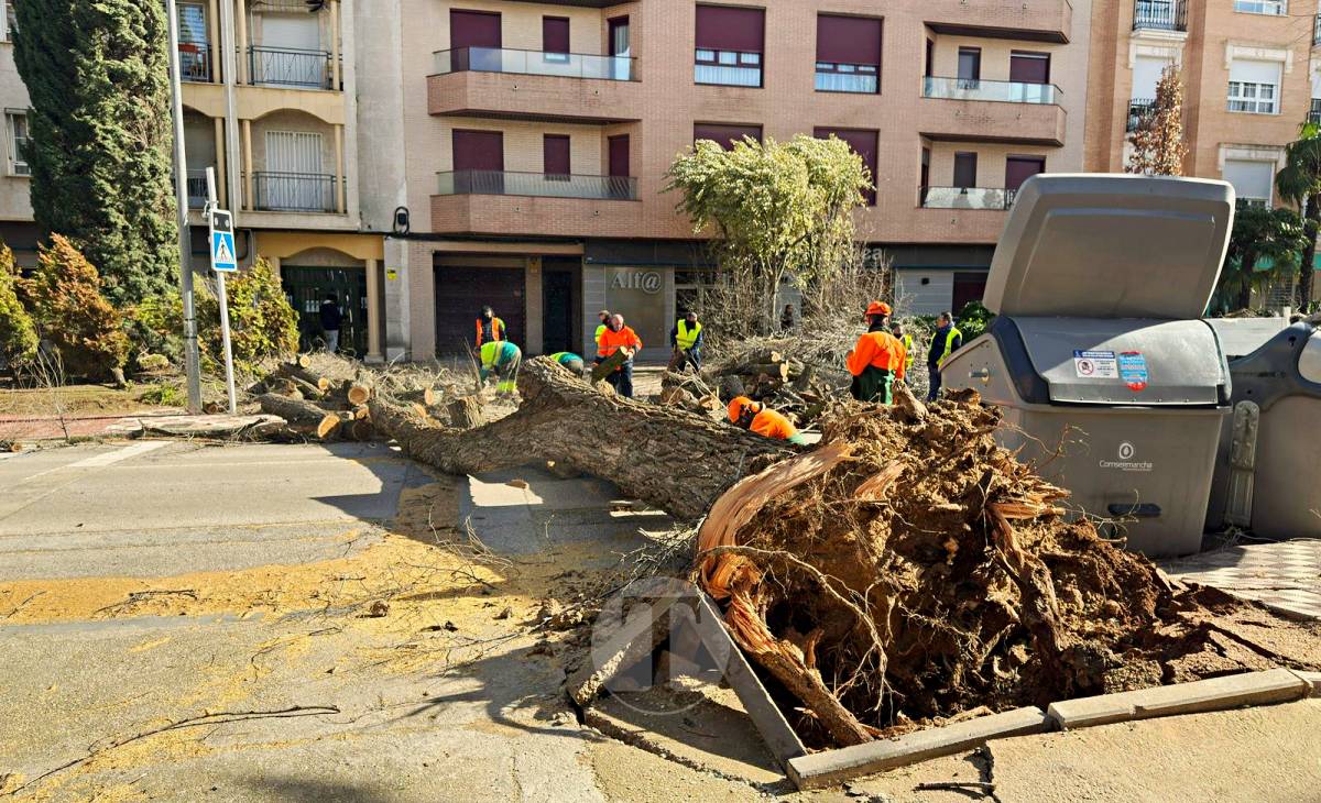 El temporal de viento provoca numerosas incidencias en Tomelloso