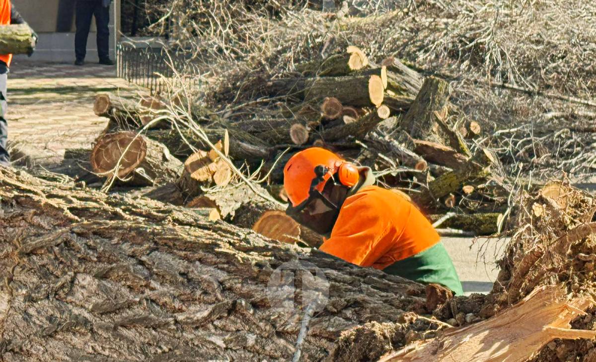 El temporal de viento provoca numerosas incidencias en Tomelloso